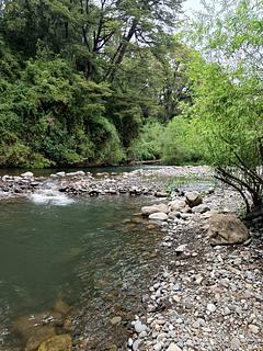 Camping el canto del agua