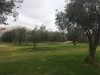 Camping Huerto los Olivos