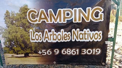 Camping los Árboles Nativos