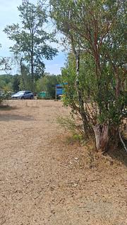 Camping los aromos