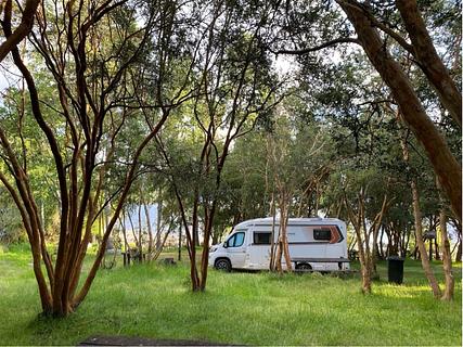 Camping Los Arrayanes