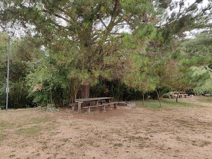 Camping Los Arrayanes
