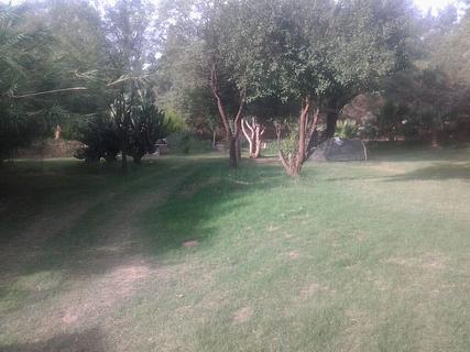 Camping Los Olivos Santa Rosa