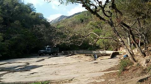 Camping Mama Pacuala