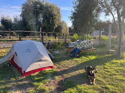 Camping e Minimarket Las Tunas