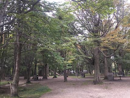 Camping Municipal