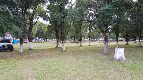 Camping Municipal
