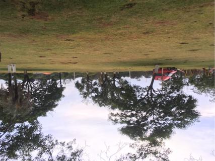 Camping Municipal