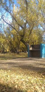 Camping Municipal - Chichinales