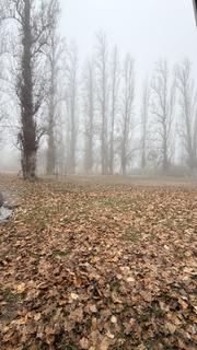 Camping municipal na floresta "El Bosquecillo"