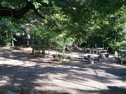 camping ngen trayenko