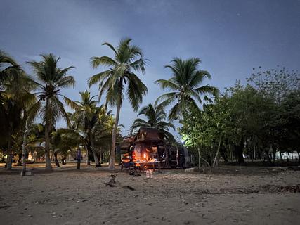 Camping entre palmeiras