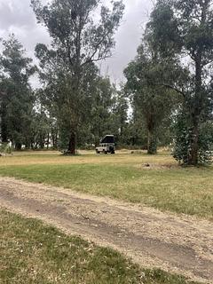 Camping no parque Punto Espinillo