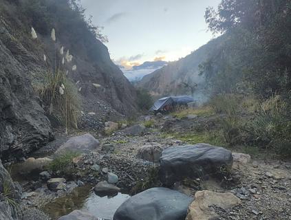 Camping, pequeno riacho com árvores
