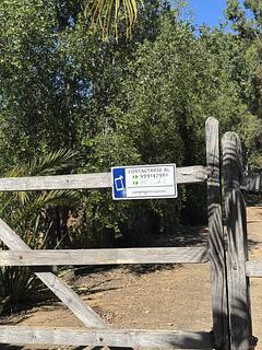 Camping Entre Pinos