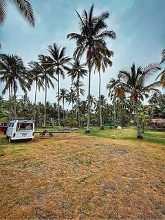 Camping Playa Cañaveral