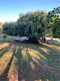 Camping Quimán Bajo