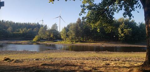 Camping Renaico