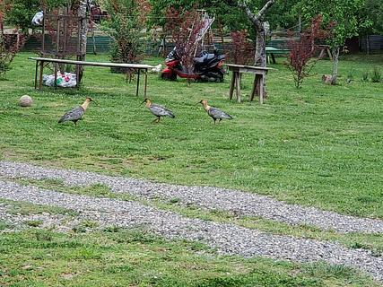 Camping Renocer - Los Maitenes