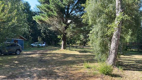 Camping Reserva Huilo-Huilo