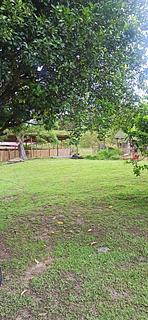 Camping Restaurante La Viuda Millonaria