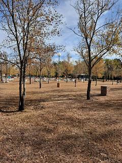 Camping Río de los Sauces