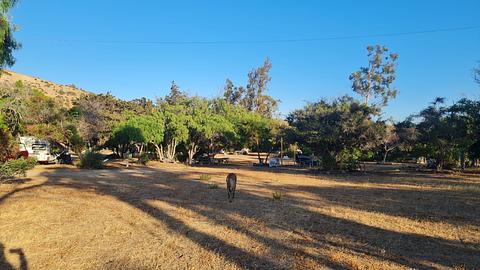 Camping Socos con Thermas