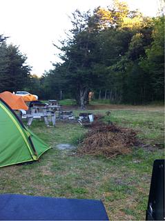 Camping Willy