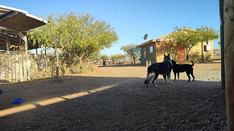 Camping y piscina los pumas del encanto