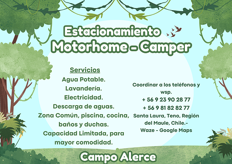 Campo Alerce