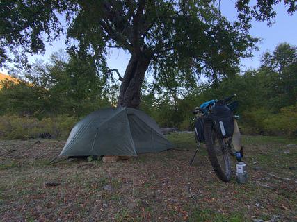 Campo de camping sob árvore