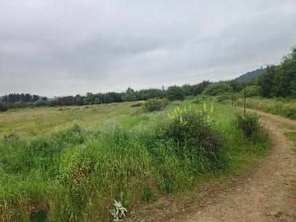 Campo de futebol
