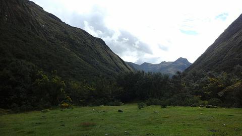 Campo Gramado - Hwy 106