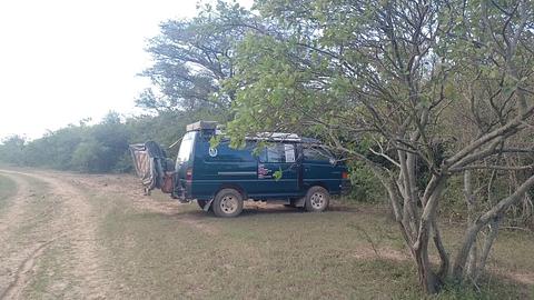 campo gramado