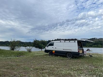 Campo de margaridas ao lado do rio