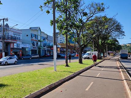 Canteiro Central Av Mariza de Souza Mendes