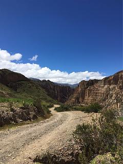Canyon del Palca