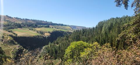 canyon mirador