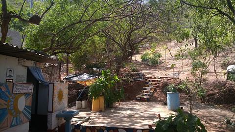 Casa Mr Wilson