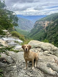 Cascada Manchego