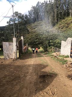 Cashapugro