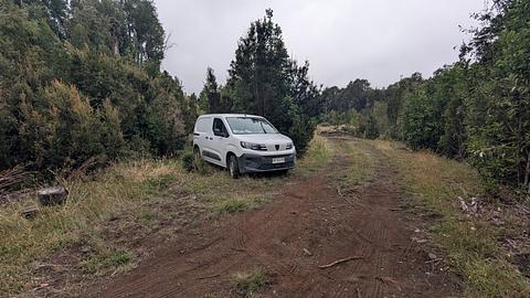 Cercado por Árvores