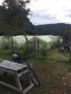 Cerro Color Camping