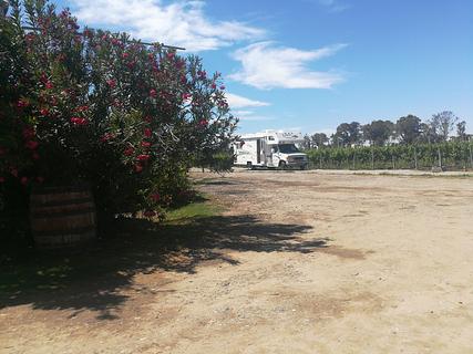 Champanera Miguel Mas