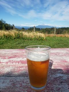 chester beer