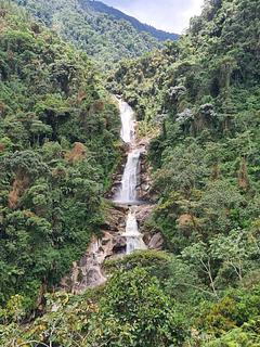 Chorros Taparto Cáscaras