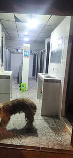 Chuveiro quente