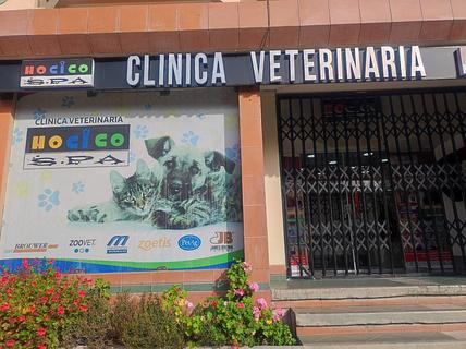 Clinica Veterinaria Hocico Spa