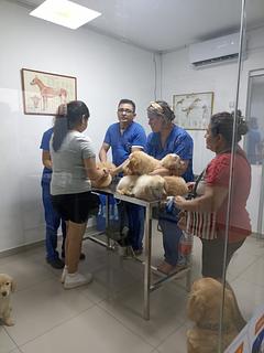 Clínica Veterinaria Madrid