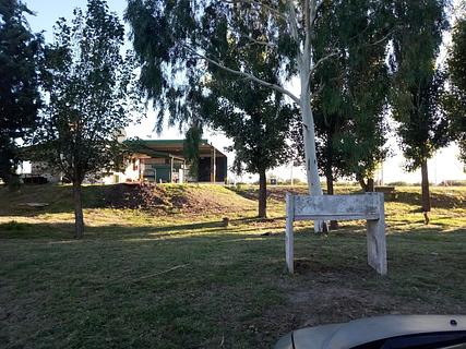 Cochico (iscamen)